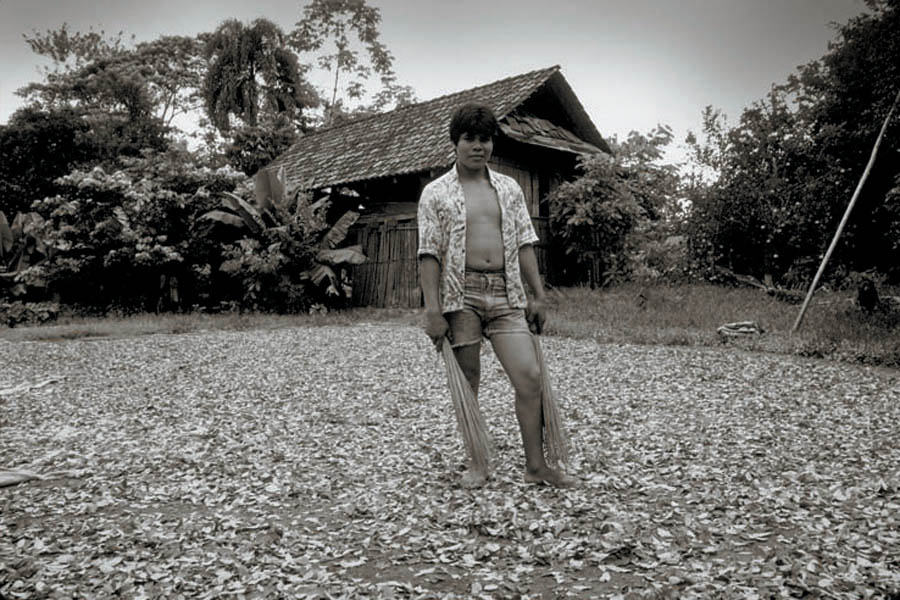 Drying Coca leaves, Chapare Region, Bolivia